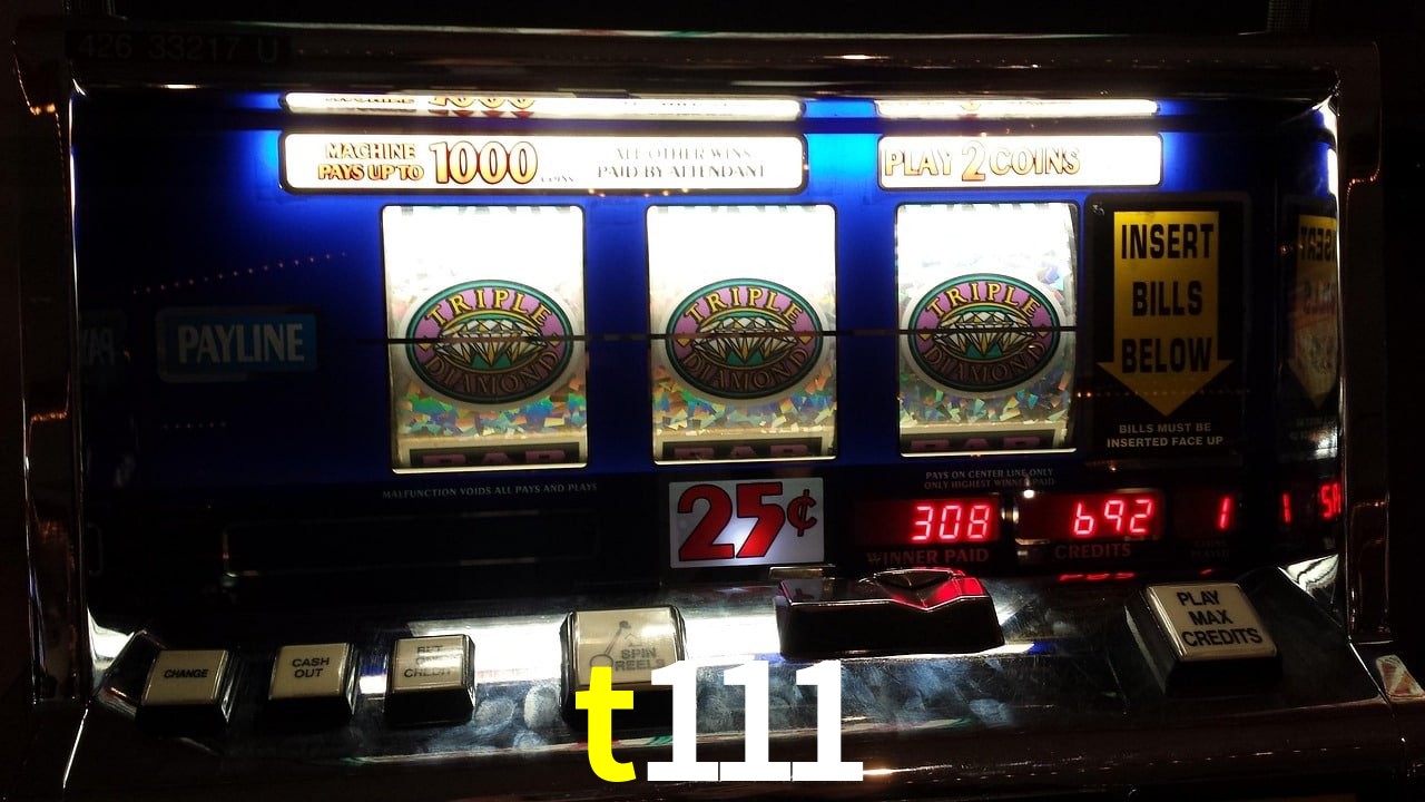 Experiência VIP t111
